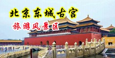 操逼黄片大全黄片操逼中国北京-东城古宫旅游风景区